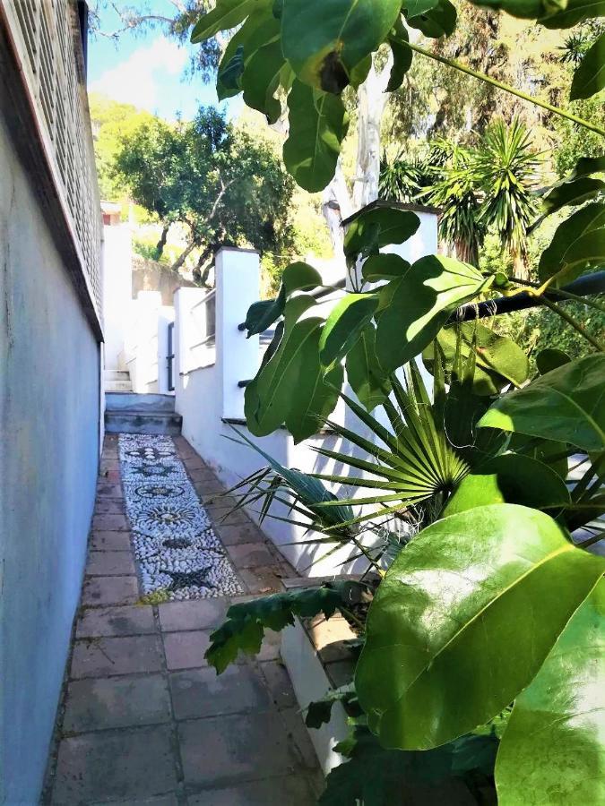 Quiet House In Malaga Villa Dış mekan fotoğraf